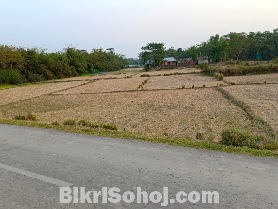 জায়গা বিক্রয়- দক্ষিণ সুরমা উপজেলা কমপ্লেক্সের অদূরেই অবস্থিত